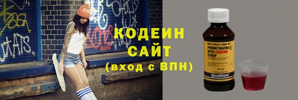 дмт Каменногорск
