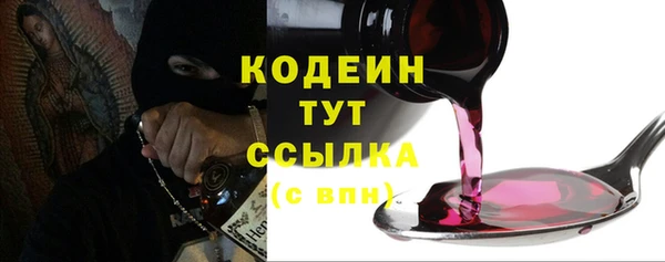 дурь Инсар