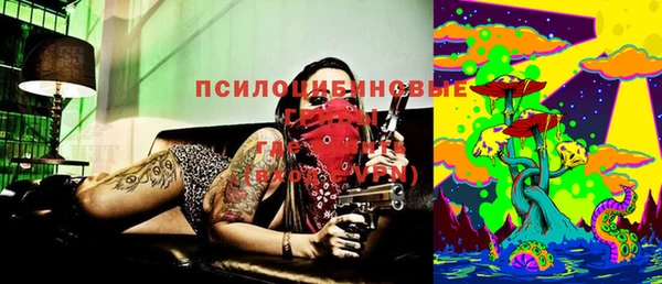 дмт Каменногорск