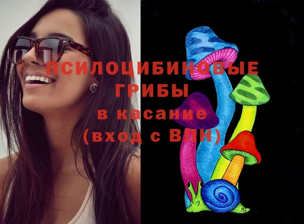 ГАЛЛЮЦИНОГЕННЫЕ ГРИБЫ Касимов
