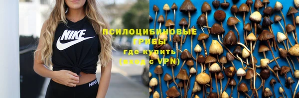 ГАЛЛЮЦИНОГЕННЫЕ ГРИБЫ Касимов