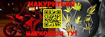 шишки Краснознаменск