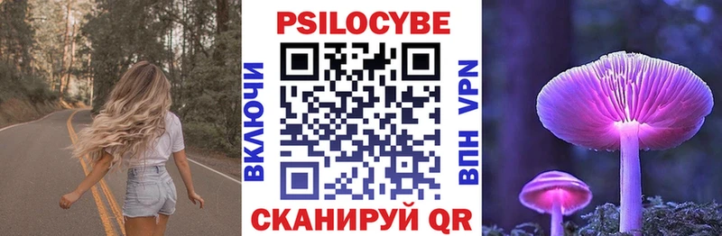 blacksprut tor  Кимовск  Псилоцибиновые грибы Psilocybe  где купить  