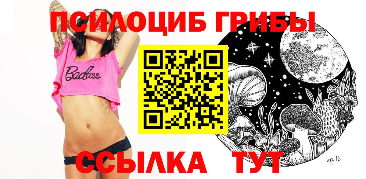 Галлюциногенные грибы Psilocybine cubensis Кимовск